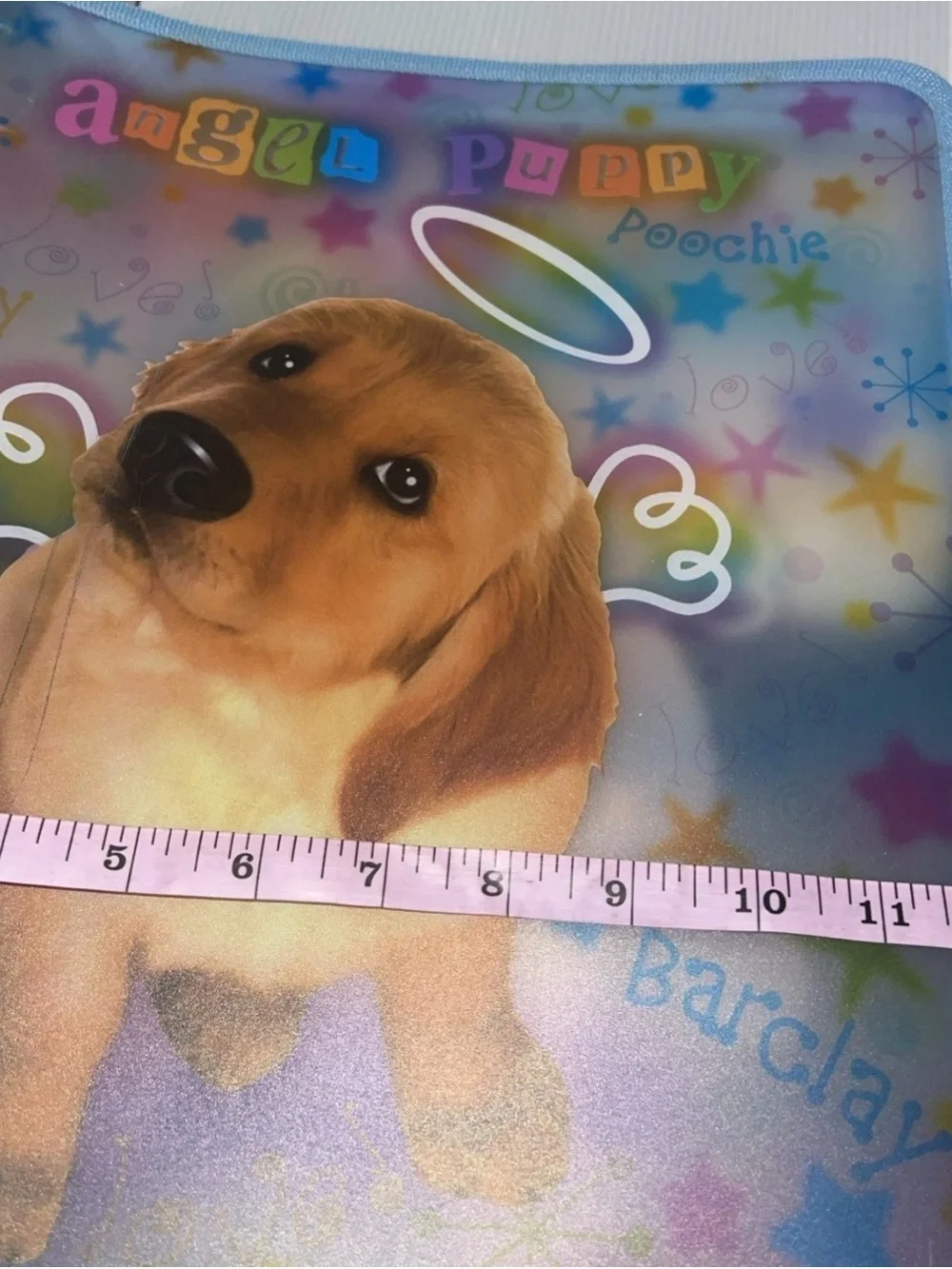 Rare Vintage Y2K  Lisa Frank Golden Retriever Puppy 3 Ring Zip Binder With Charm